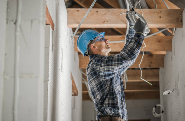Best Electric Panel Repair  in Holiday Valley, OH