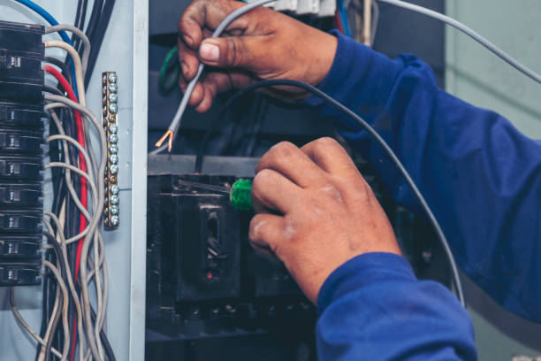 Best Ceiling Fan Installation Electrician  in Holiday Valley, OH